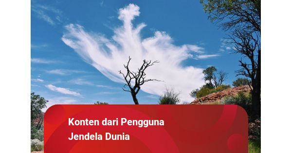 Surga Tersembunyi di Sidareja: Jelajahi Cilacap dengan Travel Cilacap Sidareja